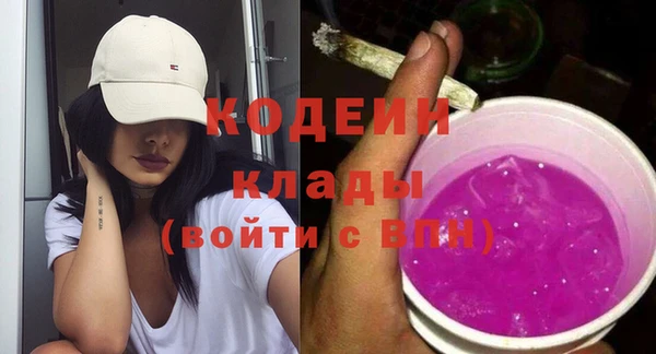 дурь Арсеньев