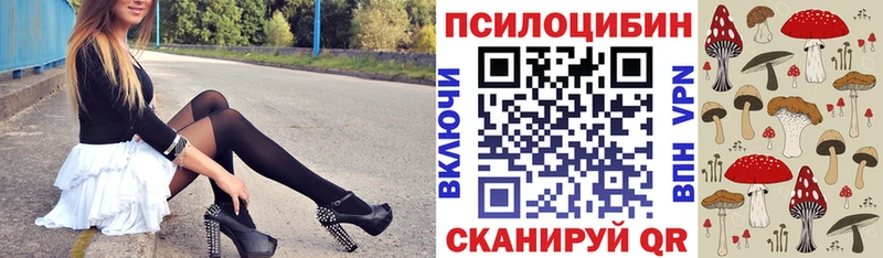 что такое наркотик  Гвардейск  Галлюциногенные грибы прущие грибы 
