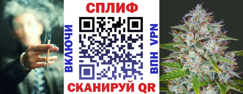 Бошки Шишки ГИДРОПОН  продажа наркотиков  Гвардейск 